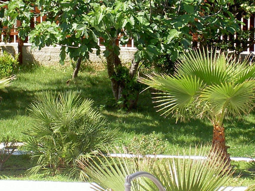 Baia Del Sole Hotel Paestum Exterior photo